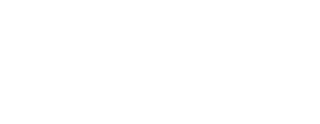 Flash Seminar